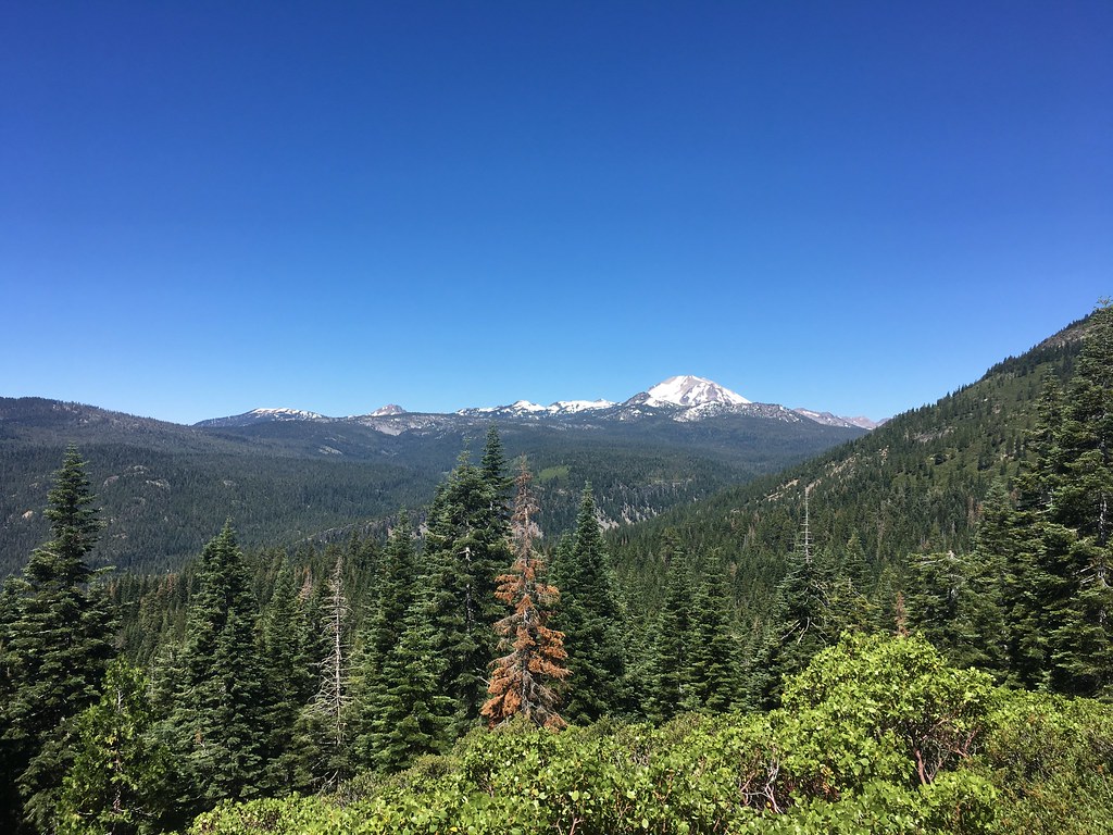 Mount Harkness Trail