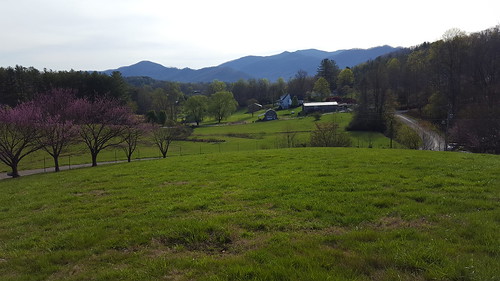 valley view vista farm northcarolina batesbranch green spring printemps mamluke fields mountains appalachians