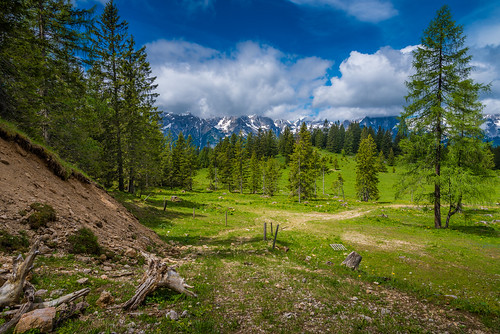 hinterstoder austria europe travel holiday alps alpine mountains forest woods trees field sky clouds summer colors nikon d750 nature landscape scenic scenery beautiful amazing outdoors