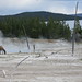 Flickr photo 'Elk grazing near thermal pools' by: TurasPhoto.