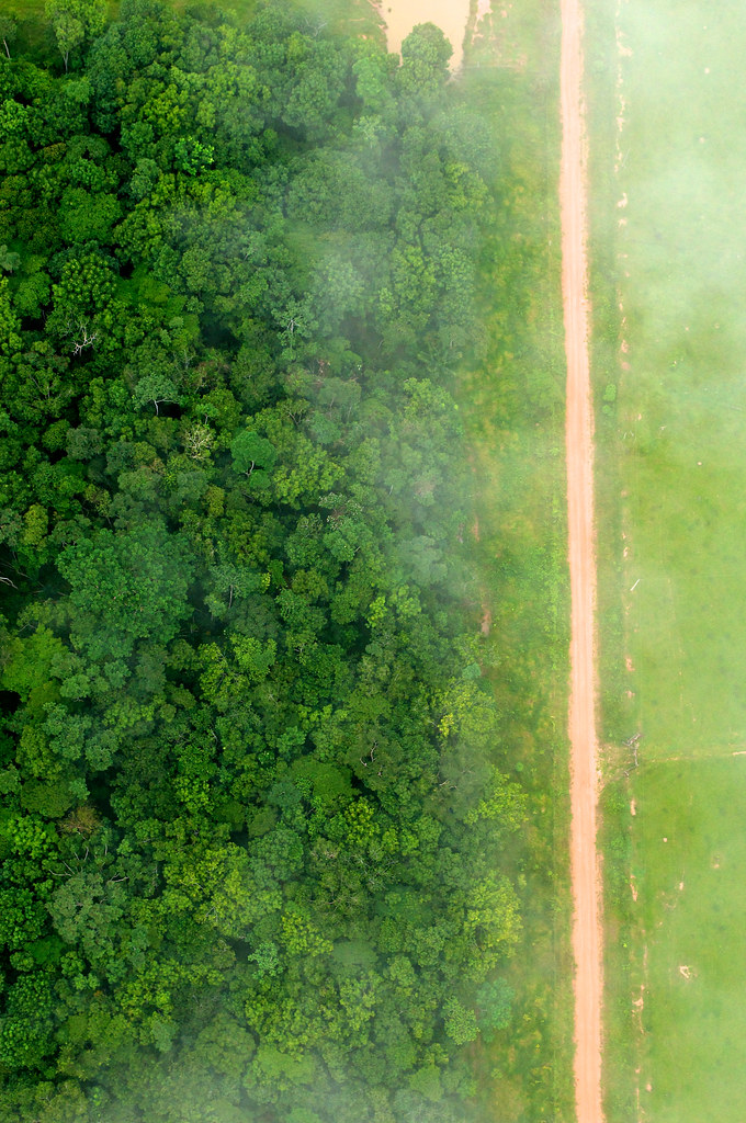 A bird's eye view shows the contrast between forest and agricultural landscapes near Rio Branco, Acre, Brazil.