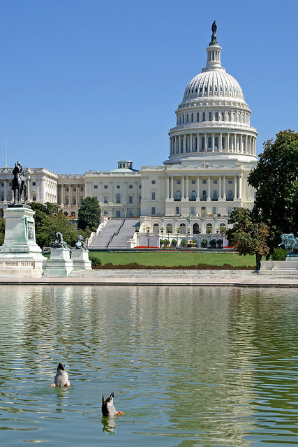 Mooning Ducks at the United States Capitol-Washington DC  04001