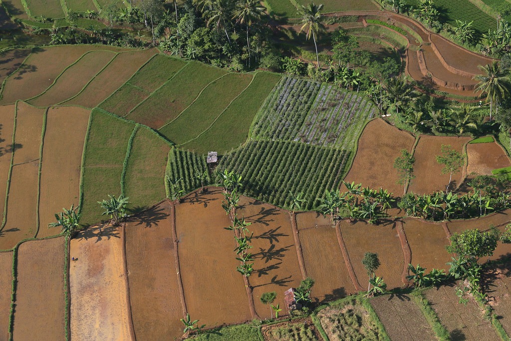 Aerial view of the landscape around Halimun Salak National Park, West Java, Indonesia.