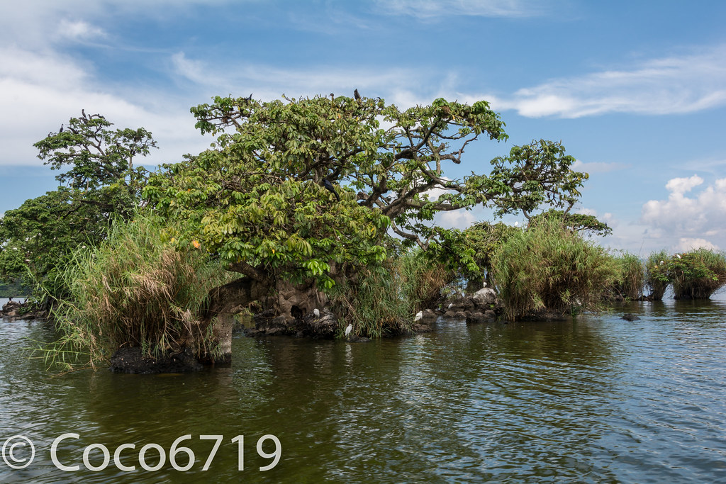 Laguna de Catemaco, Veracruz | coco6719 | Flickr