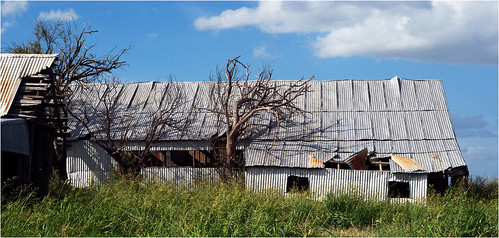 anamorphic cinemascope d60 barn abandoned derelict corrugated iscorama isco nikkorh85mm nikond60 olney tinroof texas youngcounty rural