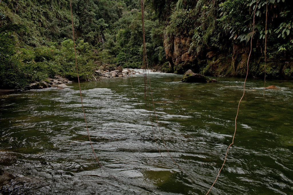 Jondachi River is one of the last pristine rivers in Ecuador.