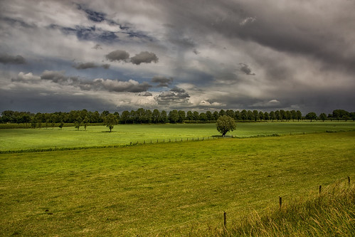 landscape light netherlands nederland lek tree trees utrecht provincie clouds cloud cloudscape green heaven minolta nature outdoors outdoor panorama sony sky sun wimvandem