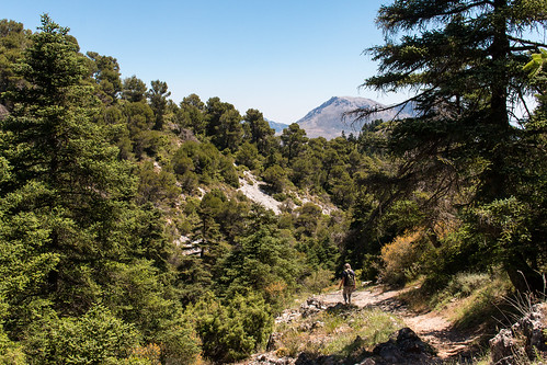 hiking sierra sierradelasnieves spain mountain path walking forest landscape outdoor leisure