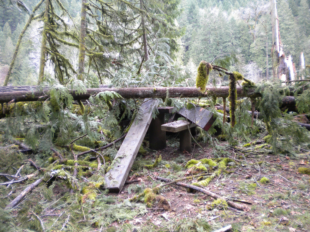 Wren Loop