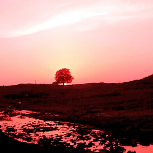Elevation of Chhapara, Madhya Pradesh, India - MAPLOGS