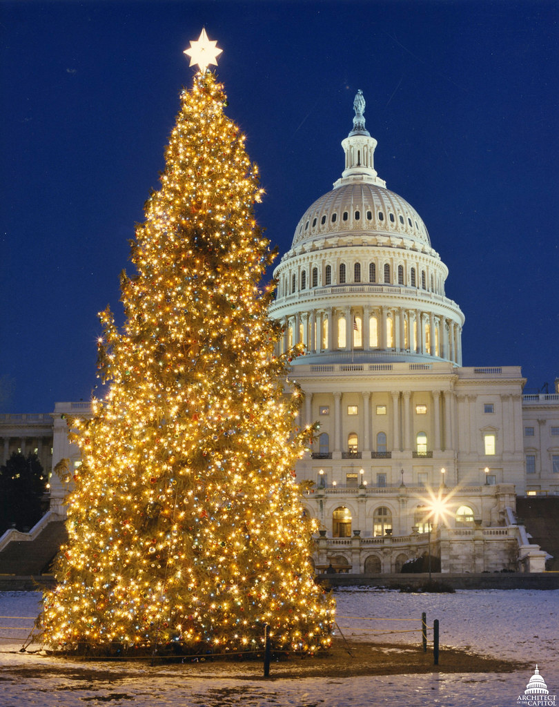 1989 U.S. Capitol Christmas Tree | The 1989 tree was a 60 fo… | Flickr