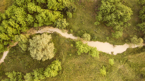 river doomed trees aerial dji drone romania europa europe forest spring summer hdr photoshop lightroom macbookpro apple macos wacom intuos landscape country latara arges bucovina