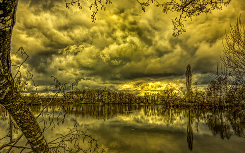 Etang des Dombes et nuages. by Michel Cart, L'un des très nombreux étangs des Dombes. Je dis l'un des nombreux, parce que je ne me rappelle plus