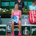 Petra Martic