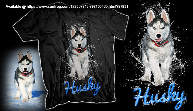 Siberian Husky Puppy Dog Splashing Water