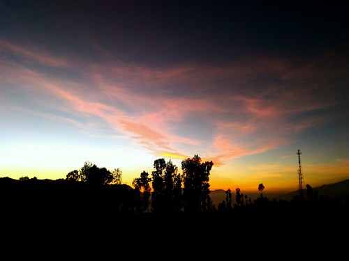 sunrise sunriseinbromo goodmorning sun nature naturephotography morningsky morningshot bromo mountbromotour silhouette treesilhouette