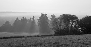Misty atmospheric Hemel Hempstead