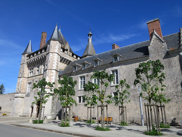 Château (XVIe) de Talcy (41)