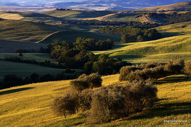 Tuscan land