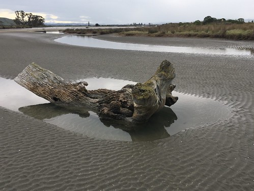 iphone landscape subdued tones coastalphotography photography eriagn ngairehart reflections tidalpool winter coastal overcast moody sandpatterns driftwood lowtide muriwaibeach muriwaigisborne hawkesbay newzealand