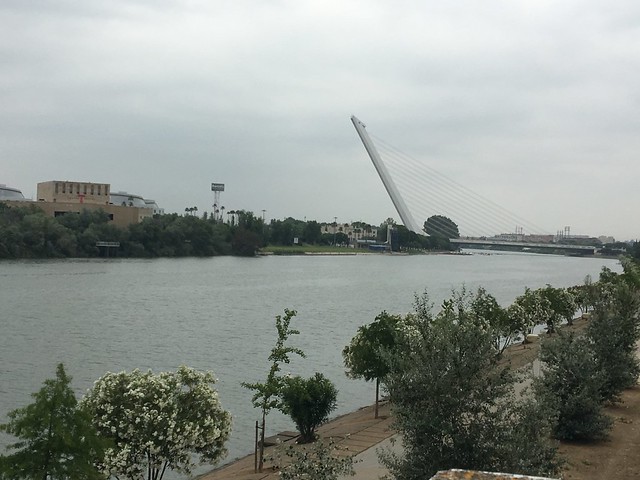 Puente del Alamillo. Sevilla