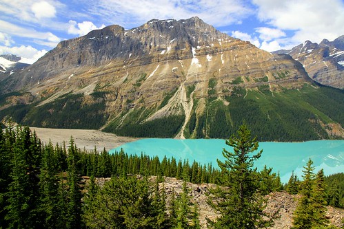 canada rockymountains banffnationalpark peyto waputikrange bowsummit lake water mountains nature landscape forest blue travel green alberta beauty trees sky scenic clouds rockies view hiking amazing turquoise colors impression iconic place gorgeous wow brilliant