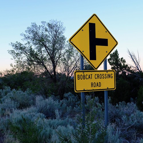 DSCF1154 by rbsexton721, Sunrise in the high desert outside of Santa Fe.