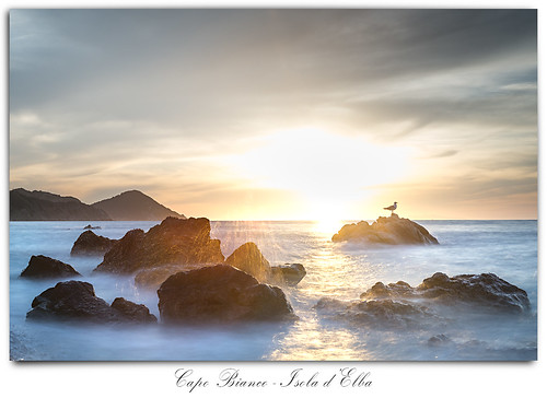capobianco elba isoladelba vacation holliday postcard sunset ocean med rocks clouds longexposure framed frame bird seagull nikond7200 sigma1835f18