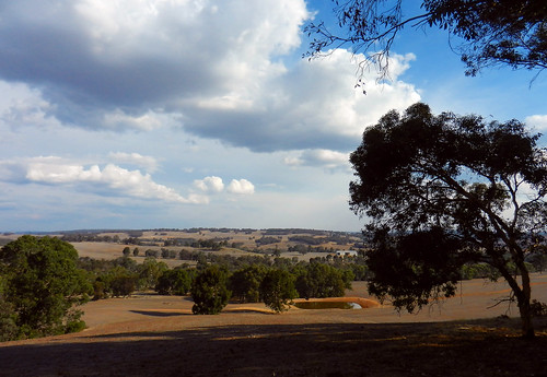 western australia bannister landscape eucalyptus tree field farm bush sky cloud dana iwachow nikon s9200