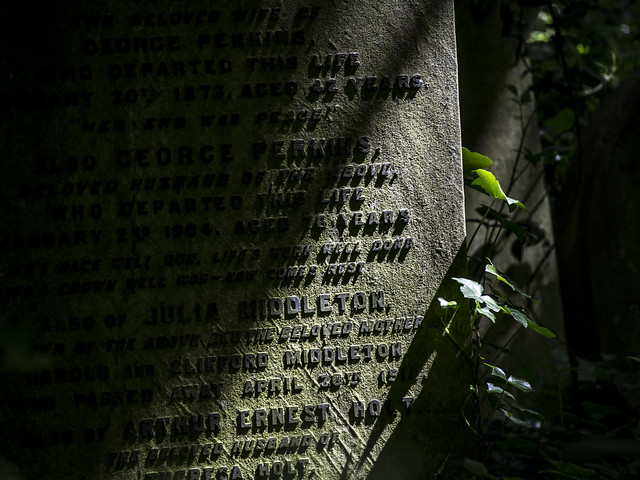 Sun and Shadows - Abney Park Cemetery May 2017
