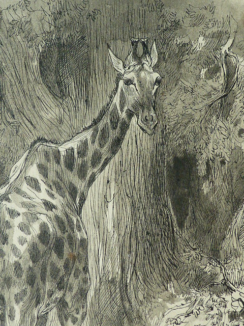 LANÇON Auguste André - Jeune Girafe têtant sa Mère dans une Forêt (drawing, dessin, disegno-Louvre RF22887) - Detail 12