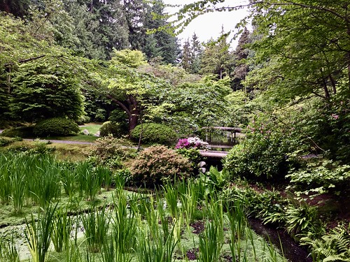 Nitobe Memorial Garden, UBC