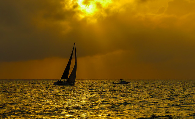 Sunset sailing on the Gulf