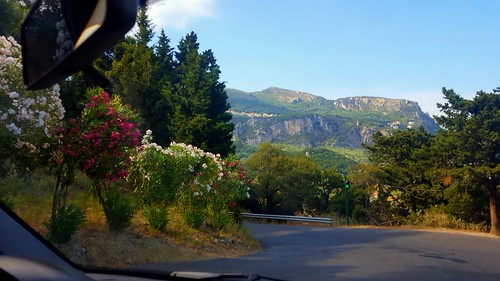mountains road oleander