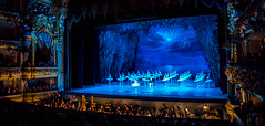 Swan Lake at the Mariinsky Theatre
