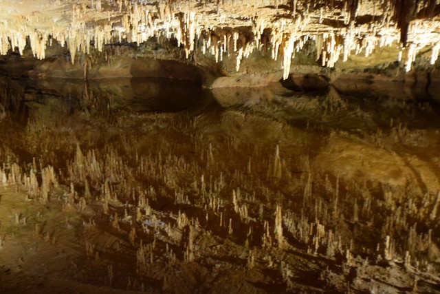 Luray caverns & Shenandoah caverns in Virginia