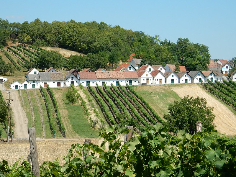 Wildendürbach