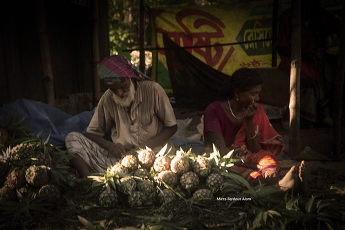 WORKING NAP | by Mirza Ferdous Alam