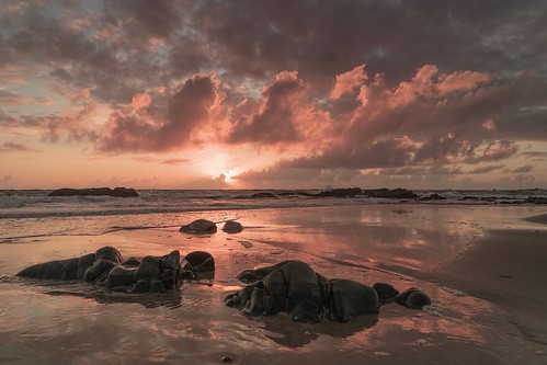 sunset west scotland innerhebrides islay goldenhour saligobay