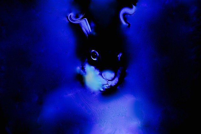 Rabbit( Dark Blue Edition)