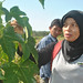 A bioenergy trial in Central Kalimantan