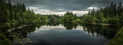 loch lake scotland trees landscape panorama reflectionforest galloway lillies