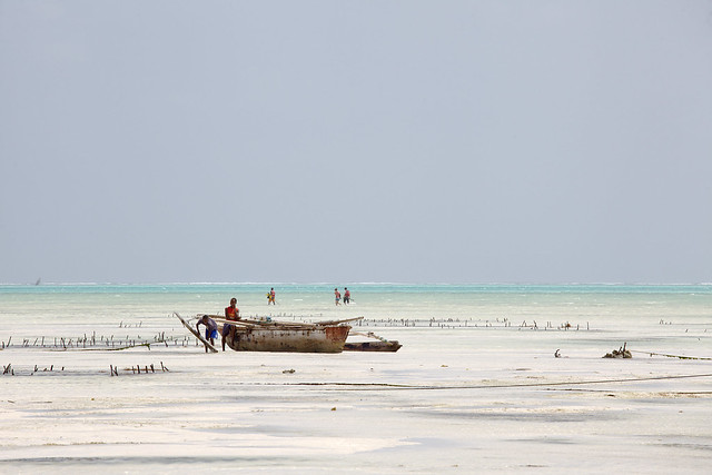 The boat of the fishermen of Zanzibar
