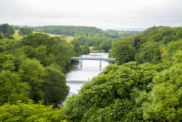 View of the River Tees