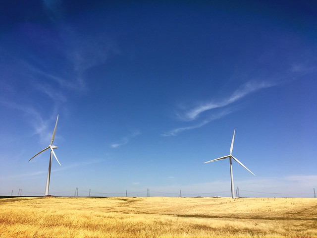 wind machines in the Delta