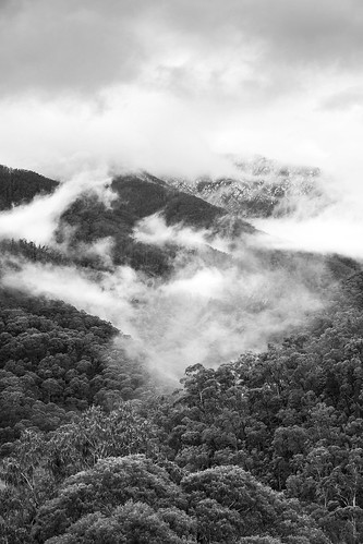 highcountry australianalps victoria australia blackandwhite bw sonya7r2 canonef100mmf2 clouds mountains snow mist