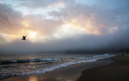 fog beach cloud sunrise noosa