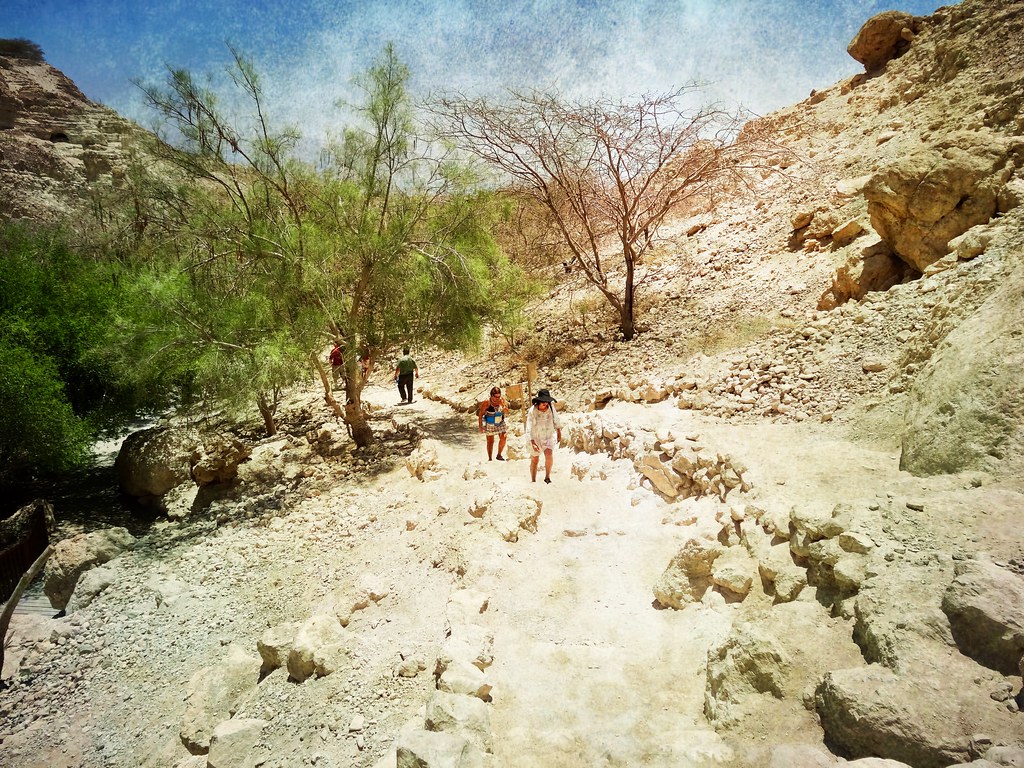 Trail Climb – Version 2