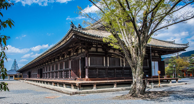 2017 - Japan - Kyoto - Sanjusangendo Temple - 6  of 7
