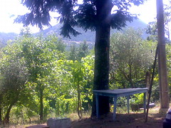 A summer afternoon in Piscitella